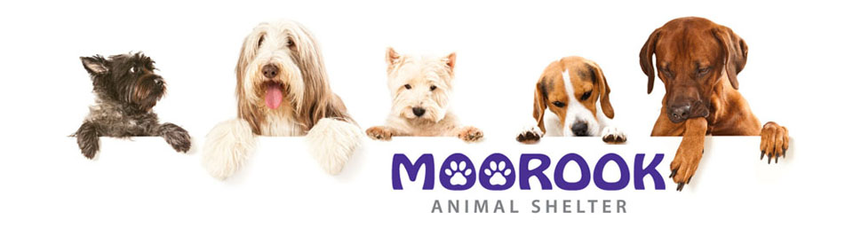 Moorook Animal Shelter